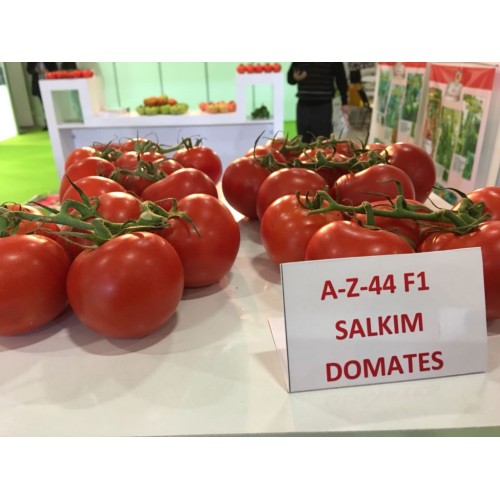 Az 44 F1 Hibrit sırık salkım domates tohumu 1000 adet